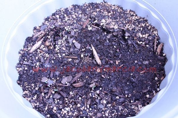 ground-break ground-break