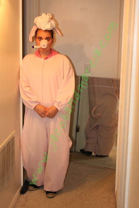 meeswinetailflu