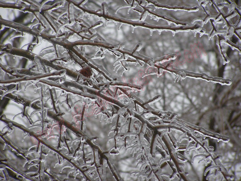 2008 12 19 (9) blog