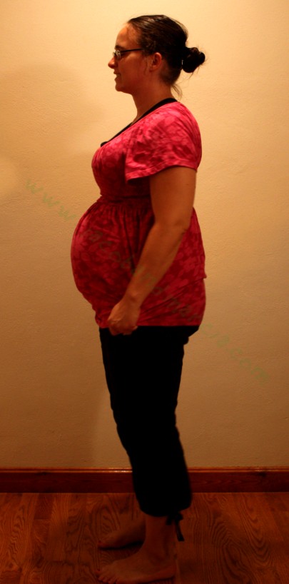 2010 08 31 26weeks bellyshot