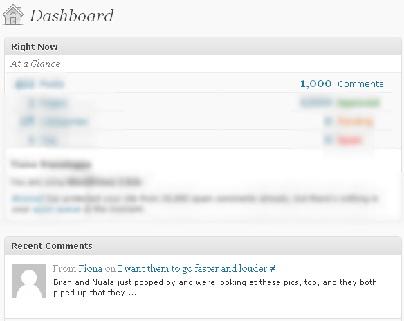 1000th comment blog winner